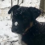 Jerri Sue Murchison - @suezbell - Instagram