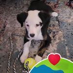 Jerry Murphy - @jerry.murphy.54772 - Instagram