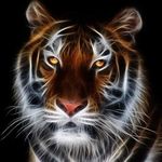 Jerry Nieves - @geraldonieves328 - Instagram