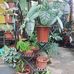 Jerry Nieves - Facebook
