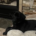 Jerry Huelsnitz - @jerryhuelsnitz - Instagram