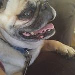 Jerry Nolte - @jwninpa - Instagram