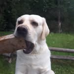 Jerry Oatman - @jerryoatman - Instagram