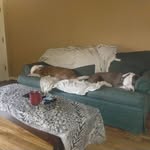 Jerry Obermeyer - @jerry.obermeyer - Instagram