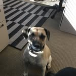 Jerry Oberkrom - @oberkromrealtor - Instagram