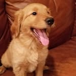 Jerry O'Donnell - @latch1771 - Instagram