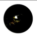jerry O'donnell - @rzbhgedgfkh1132tr - Instagram