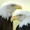Jerry Odonnell - @jerry.odonnell06 - TikTok