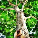 Jerry Oglesby - @jerryoglesby - Instagram