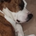 Jerry OHara - @jerry.ohara.716 - Instagram