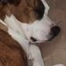 Jerry OHara - Facebook