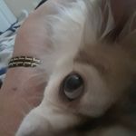 Jerry Olivas - @jerrypolivas - Instagram