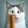 Jerry - @jerryole - TikTok