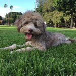 Jerry O’Malley - @jerry_omalley - Instagram