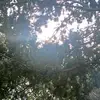 Jared - @jerry.wooten0 - TikTok