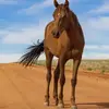 Jerry Opoku - @jerry.opoku - TikTok