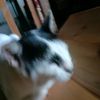 Jerry Orange - @jerryore2 - TikTok