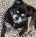 Gerry Orchard - Facebook
