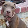 Jerry Orozco - @jerryorozco92 - TikTok