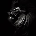 Jerry Otis - @jakaba.ba - Instagram