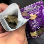 Jerry Packson - @jerrypackson420 - Instagram