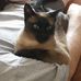 Jerry Palazzolo - Facebook