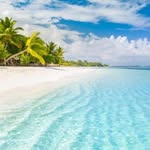 @parents_jerry - Instagram