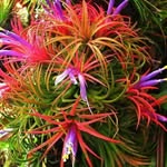 Jerry patch Angela - @jerrypatchan - Instagram
