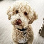 Jerry Patrick - @jerrypatrick1602 - Instagram