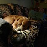 jerry penley - @penleyjerry - Instagram