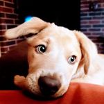 Jerry Penrod - @jerrypenrod - Instagram