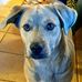 Jerry Penrod - Facebook