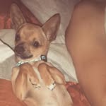 jerry - @piccolo_jerry_ - Instagram