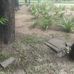 Jerry Pinto - Facebook