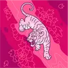 Jerry Pires - @jerry.pires - TikTok