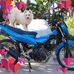Jerry Plata - Facebook