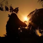 @pleasant_jerry - Instagram