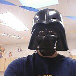 Jerry the meerkat - @jerryplummer - Instagram
