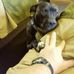 Gerald Plunk - Facebook