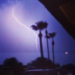 Jerbear - @jerryplunkett - Instagram