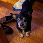 Jerry Plunkert, Sr. - @jerryplunkertsr - Instagram