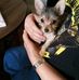Jerry Poling - Facebook
