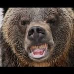 Jerry Pomeroy - @pomeroyape - Instagram