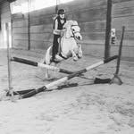 @jerry_poney - Instagram