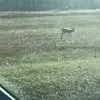 Jerry Poston - @jerry.poston0 - TikTok