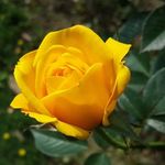 Jerry Pound - @jerrypound1 - Instagram