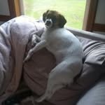 Jerry Powers - @imx133 - Instagram