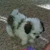 Jerry Powers - @jerry.powers - TikTok
