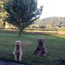 Jerry Prather - Facebook