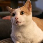 Jerry Prather - @jerrygo1 - Instagram